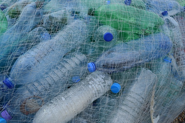 plastové láhve v rybářské síti.jpg